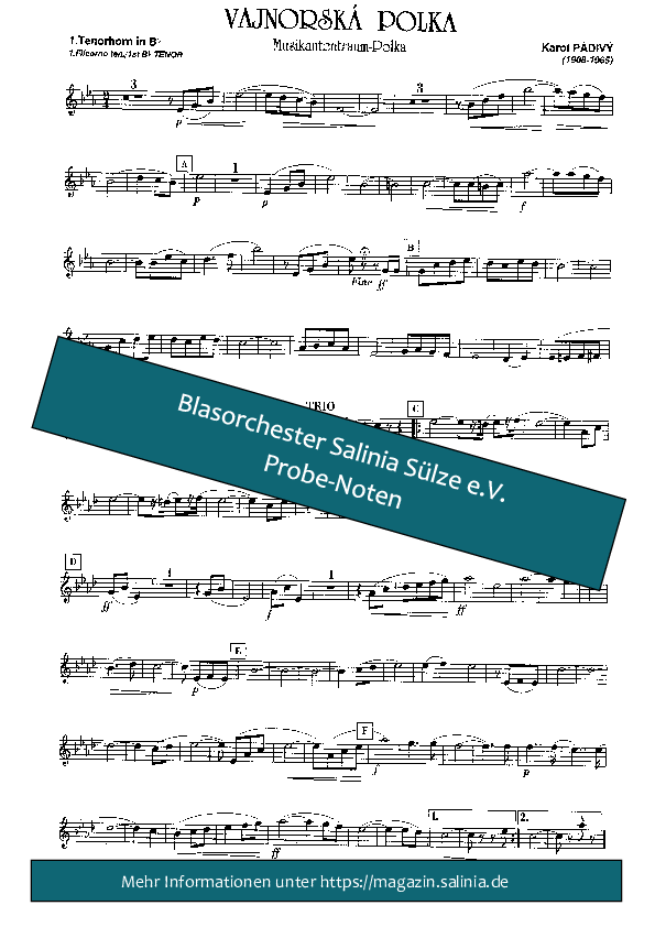 Musikantentraum (Vajnorska Polka) Tenorhorn, Bariton, Euphonium Blasorchesternoten Vorschau