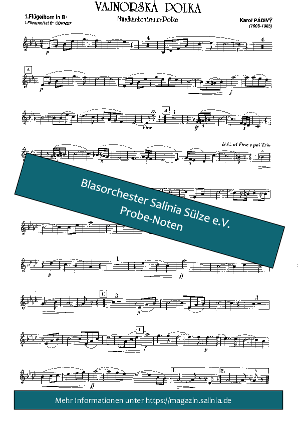 Musikantentraum (Vajnorska Polka) Flügelhorn Blasorchesternoten Vorschau