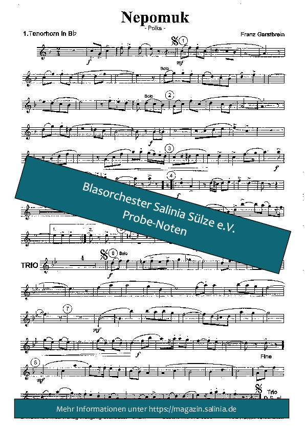 Nepomuk-Polka Tenorhorn, Bariton, Euphonium Blasorchesternoten Vorschau