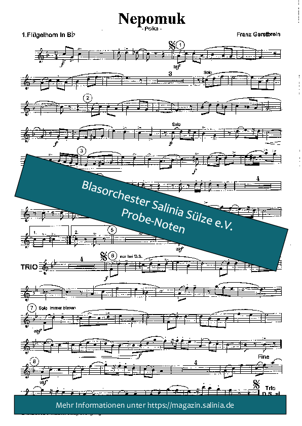Nepomuk-Polka Flügelhorn Blasorchesternoten Vorschau