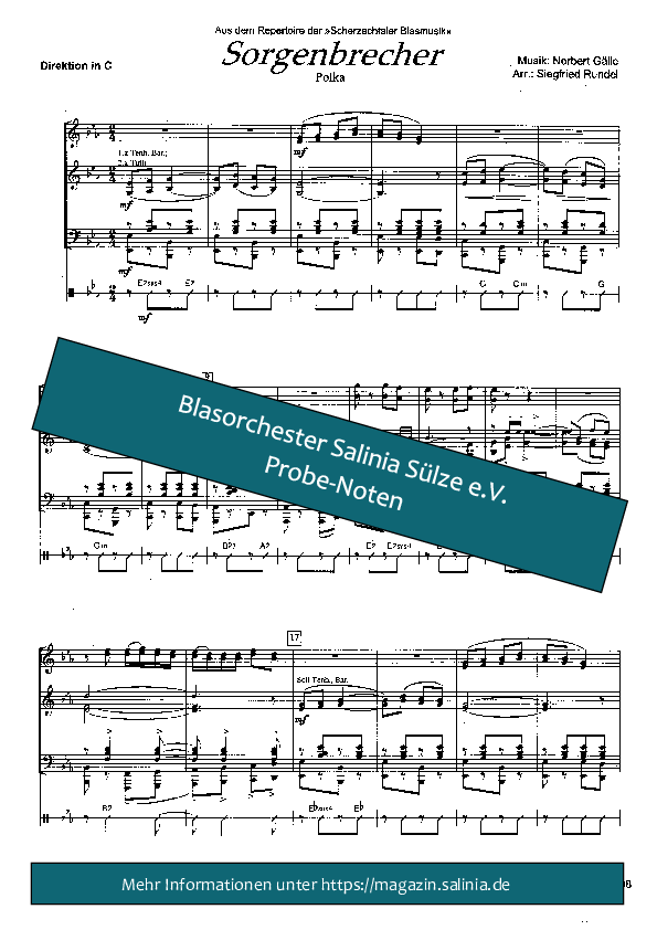 Sorgenbrecher Polka Partitur Blasorchesternoten Vorschau