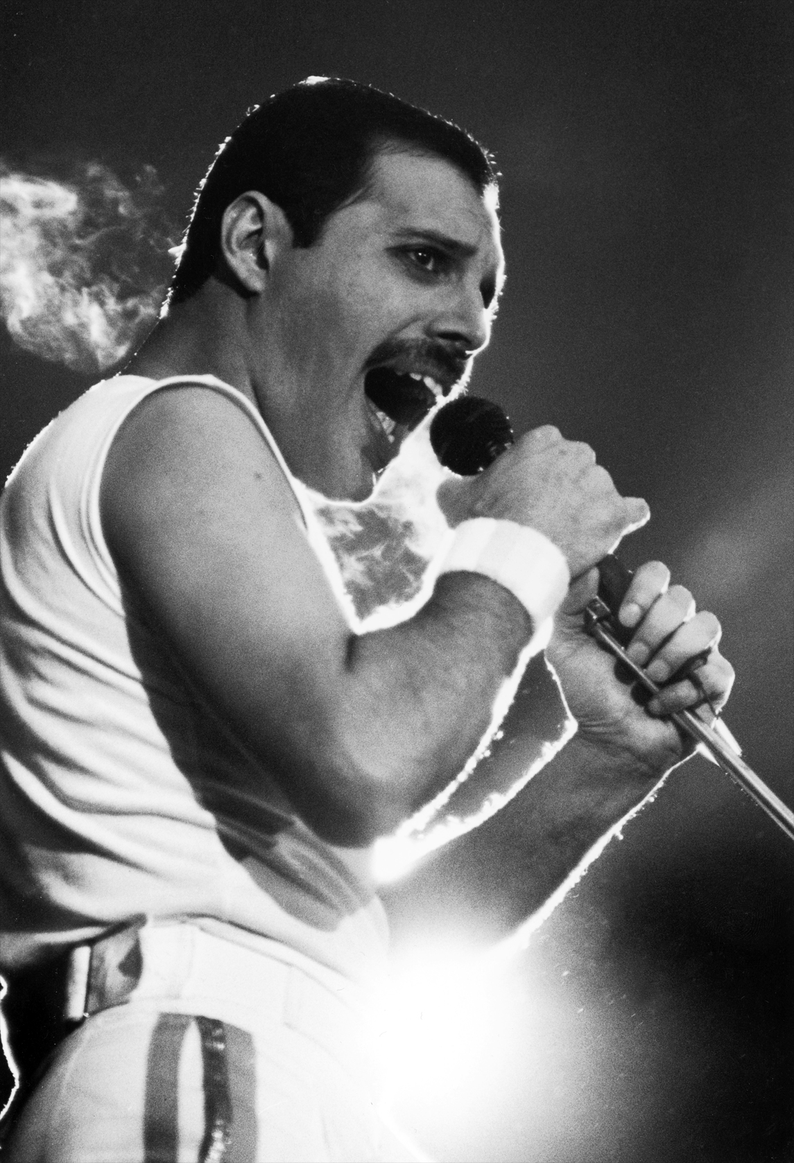 Informationen zu Freddie Mercury Portrait