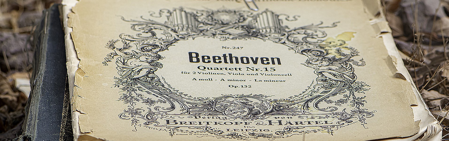 Blasorchesternoten Extreme Beethoven - Titelbild