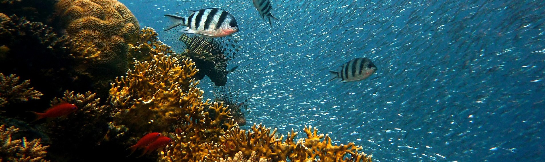 Blasorchesternoten Blue Hole - Titelbild