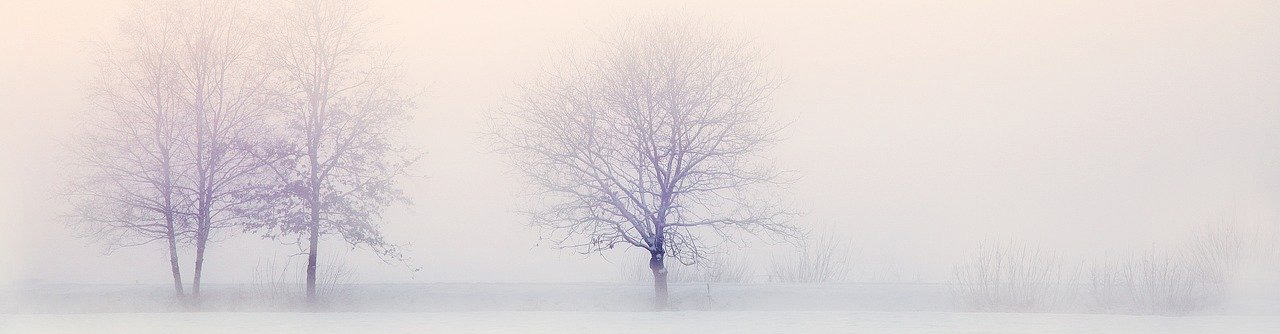 Blasorchesternoten Schneewalzer - Titelbild