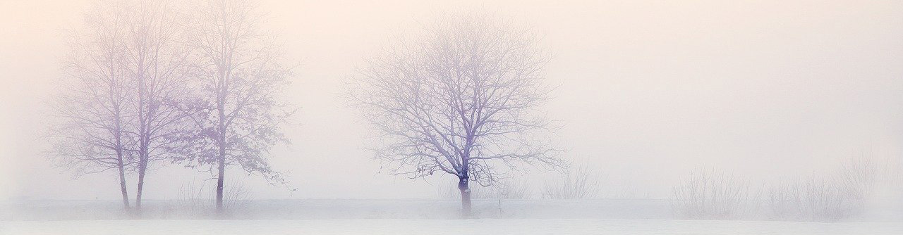 Blasorchesternoten Schneewalzer - Titelbild