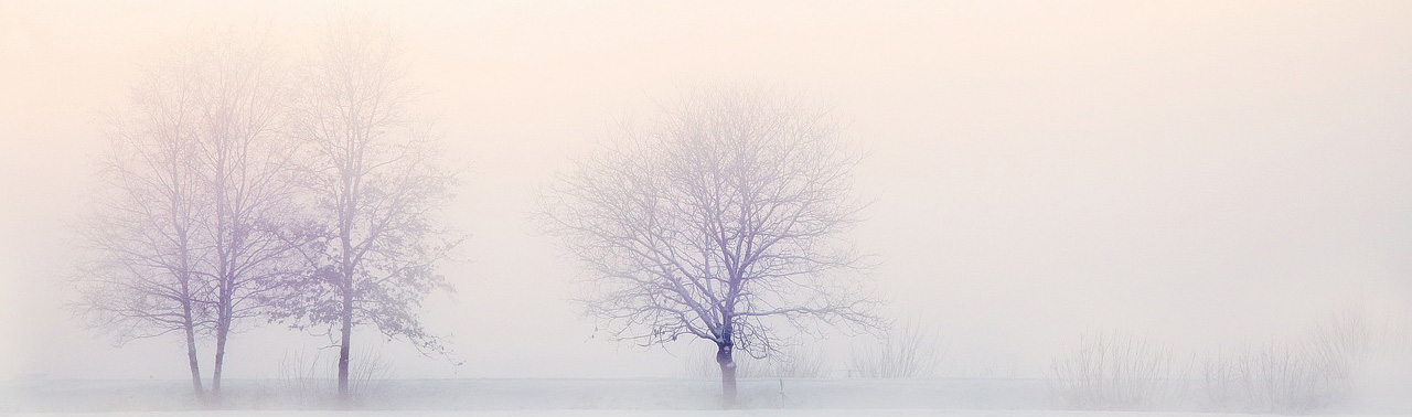 Blasorchesternoten Let it Snow! Let it Snow! Let it Snow! - Titelbild